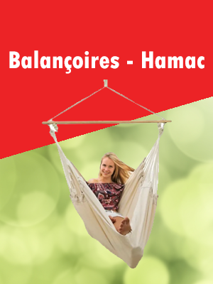 categorie-balançoire